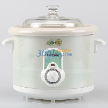 天际（TONZE ）DDG-25A 2.5升 陶瓷电炖锅 （白色）