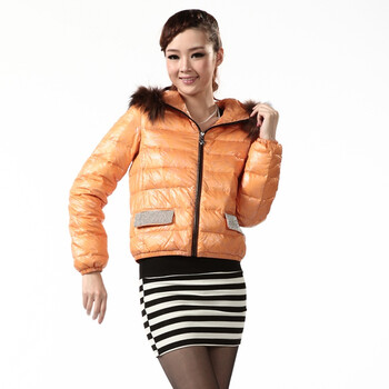 2011新款 冰洁羽绒服 女式休闲时尚短款 BG11118 黄色 185/104A(XXXL)