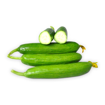 山东迷你小黄瓜 净重约2kg