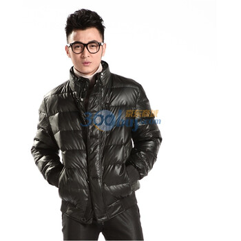 波司登【上羽】品牌 11新款羽绒服 男亮面立领短款 SL9303 紫色 190/104A(XXL)
