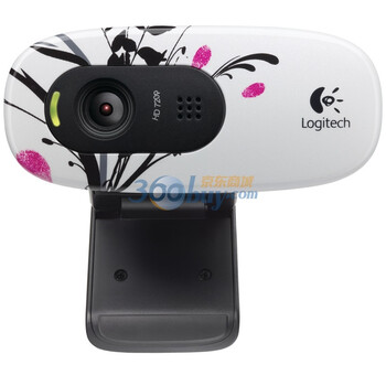 罗技（Logitech）C270 高清网络摄像头 雪郁青