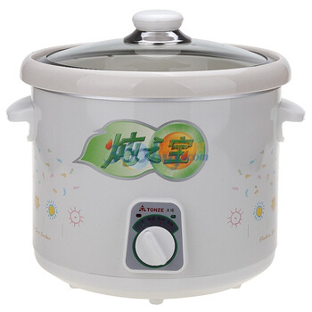 天际（TONZE）DDG-40B 电炖锅 4升容量 钢化玻璃上盖（白色）