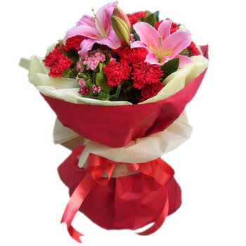 11朵红色康乃馨 2枝粉百合 <em>三八妇女节</em>AL013