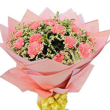 康乃馨19朵 鲜花速递 <em>送妈妈</em>长辈生日礼物 <em>三八</em>