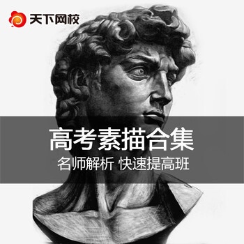 天下网校中央美院美考素描视频教程 艺术高考