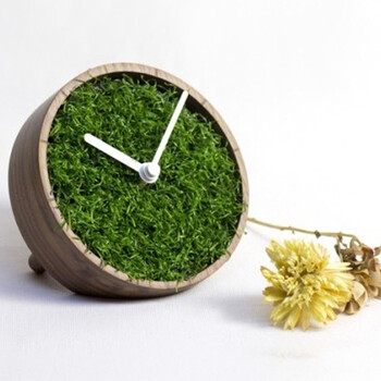  Ұʱ⣨ʵľ̨ӣԼҾ Ȼ Ǩ ľ