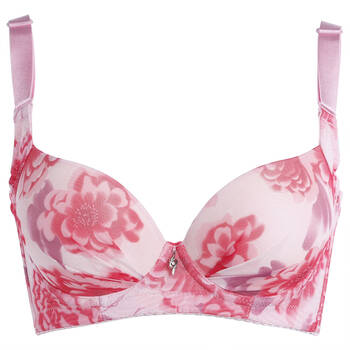 <em>纤思哲</em>内衣正品文胸 <em>纤思哲水袋文胸</em>