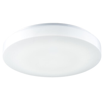 
                                                                                ESDIMANLED吸顶灯现代简约卧室灯餐厅灯具客厅灯饰2254 直径40cmLED白光24w                