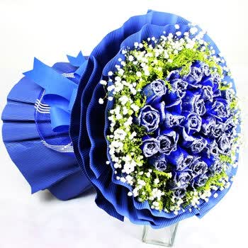 鲜花速递生日 红玫瑰花束情人<em>节送花</em>鲜花快递