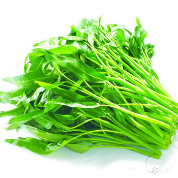 香远 蔬菜种子 家庭阳台种植 盆栽蔬菜水果种子