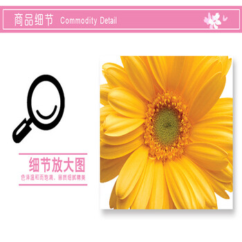 
                                        沐坤 三代可移除墙贴纸 雏菊客厅沙发衣橱背景墙贴画 卧室墙壁纸 雏菊6015黄色                