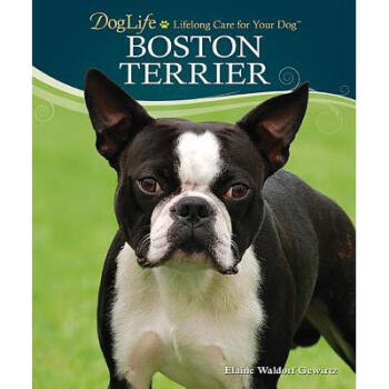 boston terrier [with dvd]