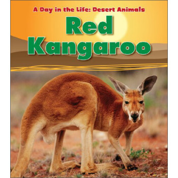 red kangaroo (a day in the life: desert animals)