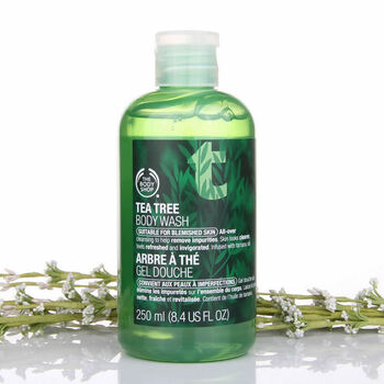 The Body Shop TBS美体小铺 茶树去背痘清爽沐浴露沐浴胶250ml 美白补水保湿去角质