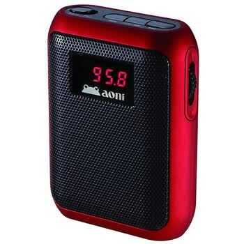 奥尼（aoni）插卡音箱 S300 双模供电/FM/AUX/USB/TF卡/屏显 铁灰色