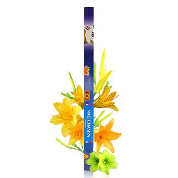 RAJ印度香熏 进口纯手工香薰香料 线香棍香 黄花 18g*10小盒 解热键胃 058x