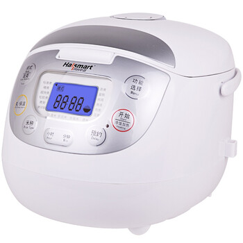 鸿智（hallsmart） HR-FY503 5L 豪华液晶版电脑方煲（灰色）