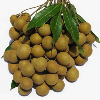 海南龙眼(约2.5Kg)