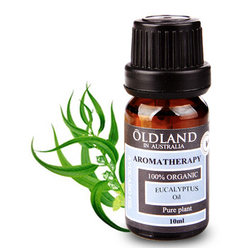 OLDLAND欧丹兰 单方 尤加利精油 10ML 消毒 杀菌 控油 祛痘 防感冒