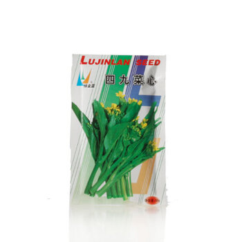 沱沱工社 绿金蓝四九菜心种子 50g/袋*5袋