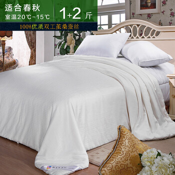 钱皇正品 100 %桑蚕丝桐乡手工桑蚕丝被/夏被芯 单/双人 子母款 关爱 锦锈长城 蚕丝净重1+2斤 200x230cm