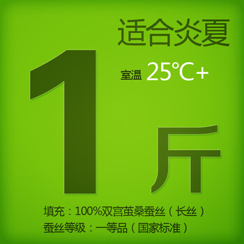 钱皇 100%桑蚕丝被子/芯 空调/夏凉被 单/双人被 关爱 祥云送瑞 蚕丝净重1斤 200x230cm