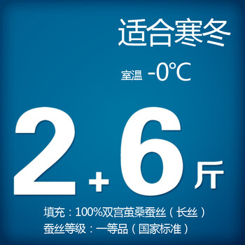 钱皇正品 100%桑蚕丝被桐乡手工被芯/子春/冬被 单/双人子母被 爱尚 斜纹 蚕丝净重2+6斤 220x240cm