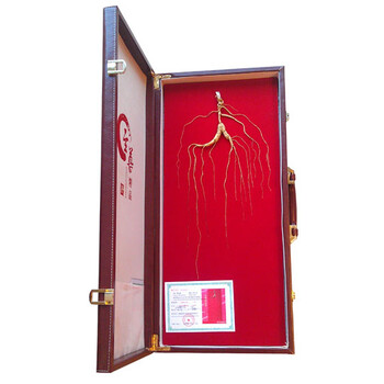 高人正宗长白山35年野山参约4g 礼盒装 带证书