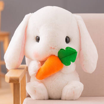 龙猫泰迪网红可爱小兔子布偶毛绒布娃娃公仔玩具抱枕睡觉玩偶小白兔