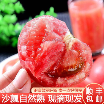 普罗旺斯西红柿陕西泾阳生吃沙瓤自然熟新鲜时令蔬菜水果生鲜顺丰快递