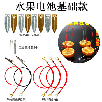 舜江 水果电池材料包实验套装diy 小学科学教学器材发电装置铜片锌片原电池 基础款纸盒装