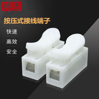 铸固 按压式接线端子 快速电线连接器弹簧对接小电流通用接线器 100只 CH-2 （二进二出 钢片）