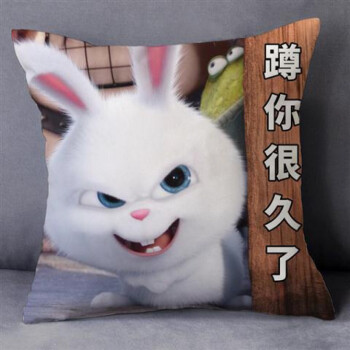 兔老大抱枕创意电影爱宠大机密雪球兔子小白周边抱枕定制做公仔毛绒