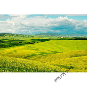 定做大草原风景画装饰画制作呼伦贝尔内蒙草原牛羊自然风景画家居装饰