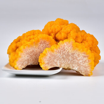 云南菌 新鲜金耳菌 特产黄金耳脑正宗黄木耳黄耳食用菌蘑菇 1000G