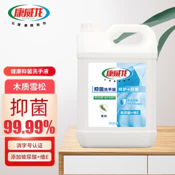 康威龙雪松洗手液12小时长效抑菌除菌商用大桶补充装母婴儿童适用无香精