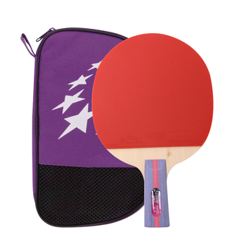 红双喜二星训练成品拍升级版直拍H2006双面反胶乒乓球拍含拍包乒乓球