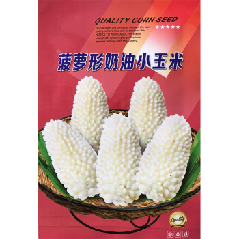 奶油白玉米种籽玉米棒袖珍水果玉米种孑可鲜食蔬果菜种子约30粒