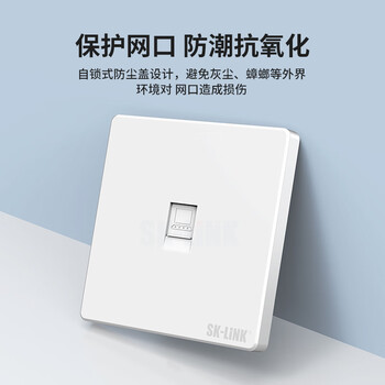 SK-LINK 超五类网络模块面板套装 cat5e非屏蔽免打信息模块网线插座 单口86型电脑面板套装 灰色 SK-LINK 超五类网络模块面板套装 cat5e非屏蔽免打信息模块网线插座 单口86型电脑面板套装 灰色