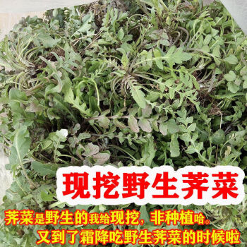 秦岭荠菜新鲜荠荠菜芥现挖蔬菜月子混沌饺子馅1斤5斤冷冻现挖荠菜3斤