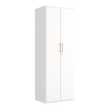 洛克菲勒家用卧室铁皮衣柜阳台储物柜小户型置物简易钢制更衣柜子双门五层