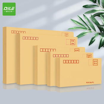 递乐 2号牛皮纸信封袋定制票据工资袋 牛皮纸邮局标准信封100个/包 4602