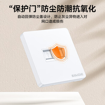 山泽 网线网口网络面板 通用超五/六/七类模块加厚86型面板 适用电脑房间网络插座 二位 WAN-02