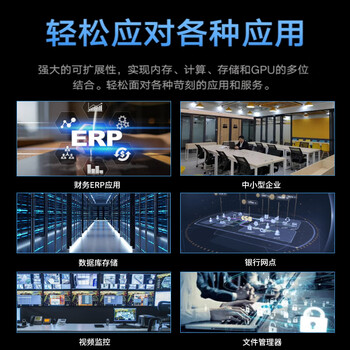戴尔（DELL）R250机架式服务器主机 文件共享数据库托管R240升级款 E2378八核心32G丨2块2T
