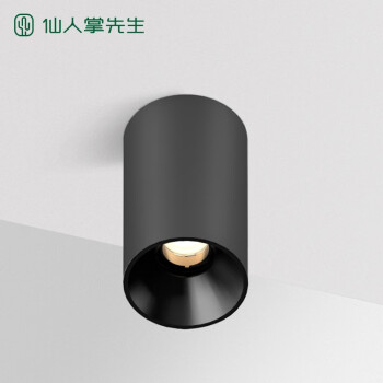 仙人掌先生圆形明装筒射灯简约无主灯