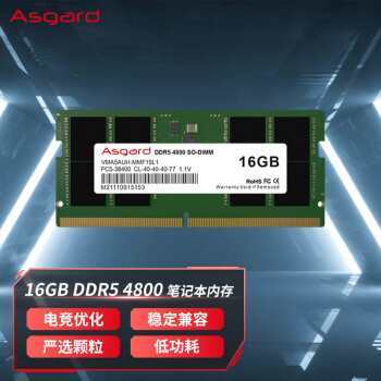 阿斯加特（Asgard）16GB DDR5 4800 笔记本内存条