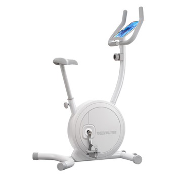 英尔健（yingerjian）动感单车家用动感单车运动减肥健身器材室内脚踏车QM-2202