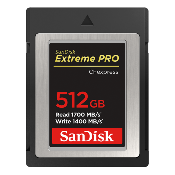 闪迪（SanDisk）512GB CFexpress Type B存储卡 微单高速影像 内存卡 读速1700MB/s 写速1400MB/s 兼容部分XQD相机