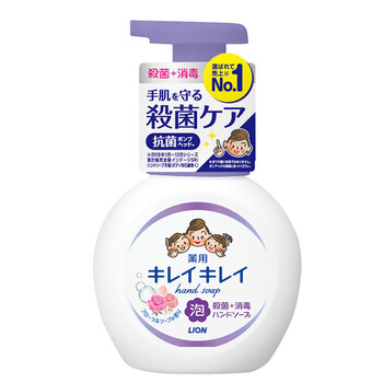 狮王（Lion）泡沫洗手液滋润温和易冲洗儿童成人通用原装进口250ml花香型