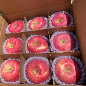年货精选洛川苹果陕西正宗洛川红富士苹果新鲜脆甜水果一箱5斤10精选